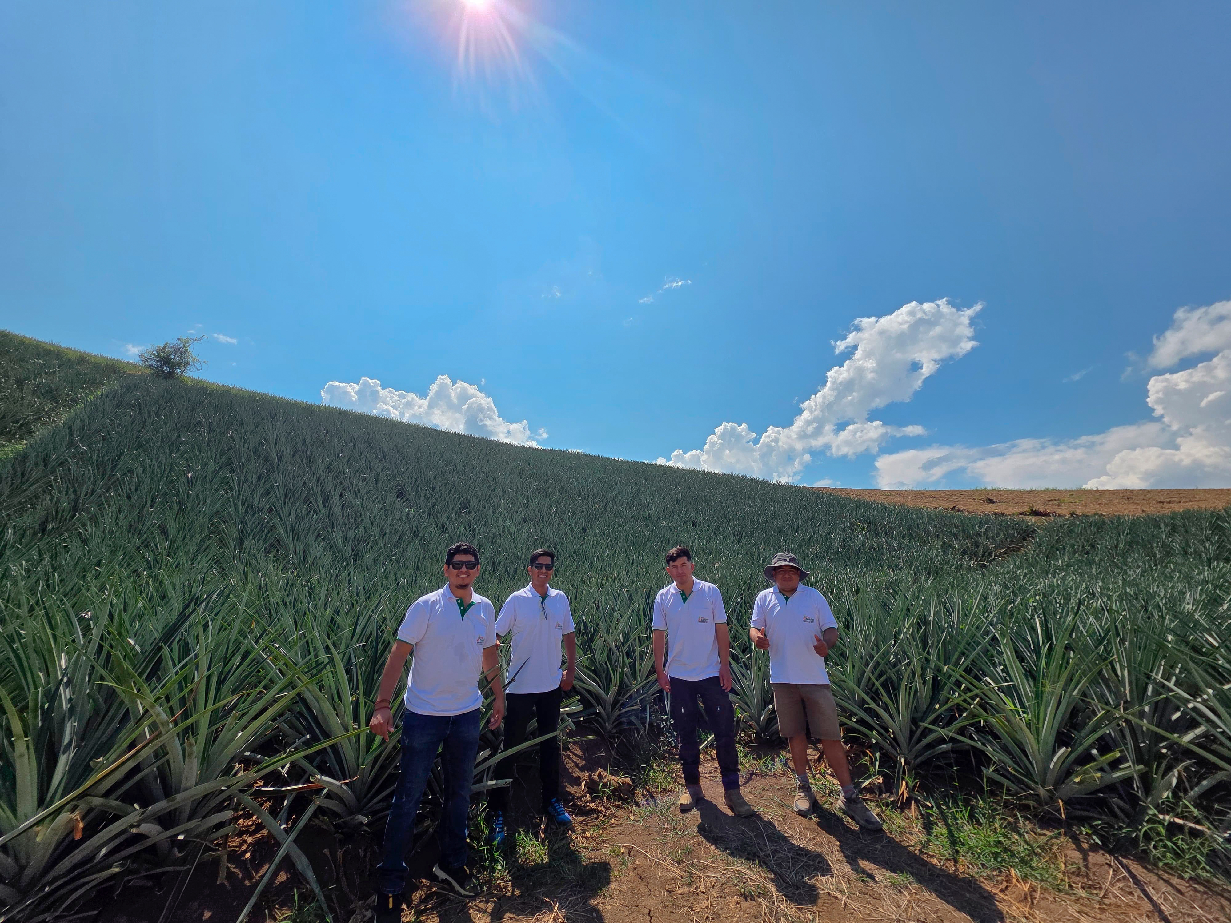 Imagen institucional